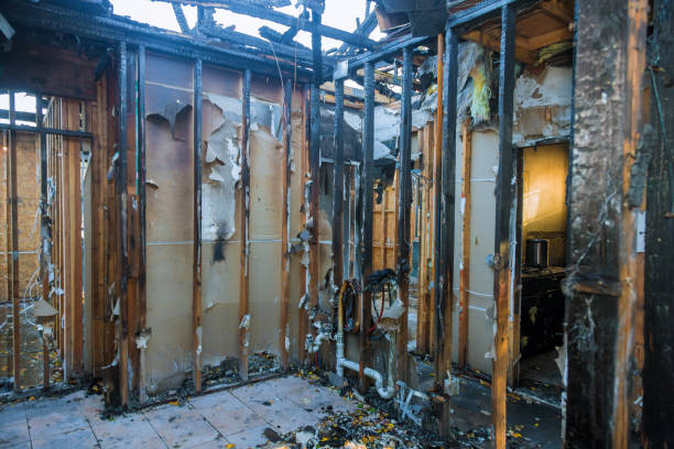 Professional Odor Removal technician working in Edgewater, MD
