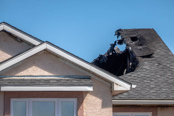 Top rated local Odor Removal specialists in Edgewater, MD